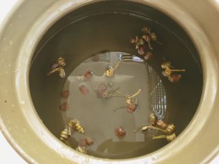 7、#咸味#鳄鱼龟石斛汤,药材可以先放水煲开一会