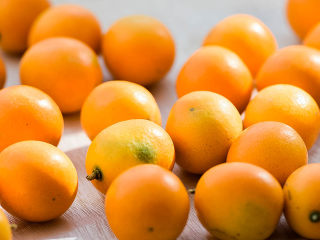 1、能治嗓子疼的咸金橘,金桔。