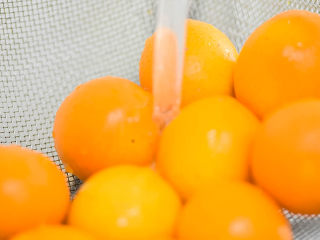 2、能治嗓子疼的咸金橘,清洗干净。