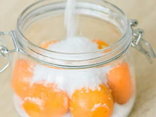 5、能治嗓子疼的咸金橘,金桔放好，放一层盐盖住。