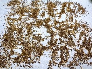 4、南瓜苹果亚麻籽糊,放在大垫子上，划拉划拉开，这样3分钟就能快速冷下来。