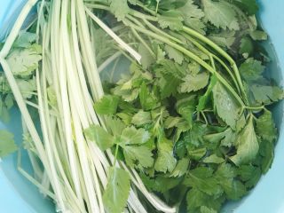 2、超详细家庭水饺,食材处理：芹菜洗净