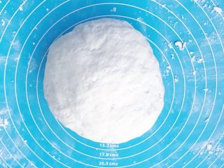 13、超详细家庭水饺,揉成面团