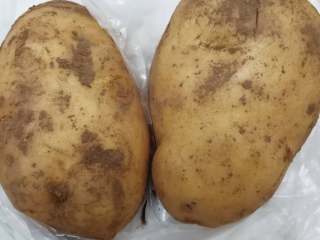 4、快手早餐三明治, 选土豆的话，以土豆泥的形式夹到三明治中。土豆煮熟压成泥，加蛋黄酱和盐、胡椒粉拌均匀。根据自己的喜好加点黄瓜粒啥的，搅一搅就可以夹到三明治里了。