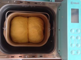 13、面包机版胡萝卜吐司,发酵好的面包胚