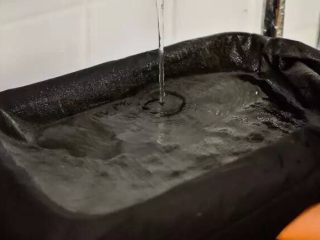 4、左三圈，右三圈——麦芽糖制作大图解,每天淋三次水。可以喷洒，也可以像我这样，直接水龙头上淋水。