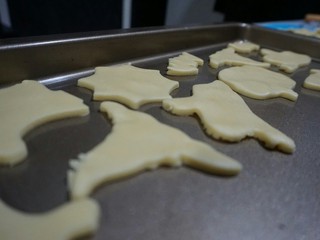 8、万圣节“捣鬼”糖霜饼干,刻好的饼干.放入烤盘。用叉子在饼干上的四周,中心轻轻的戳几个洞。(戳洞是为了防止烤制饼干时的空气凸起。)