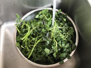 11、陈肾西洋菜猪骨汤,西洋菜拣择好后清洗干净