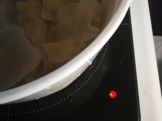 14、#一碗汤# 海底椰龙骨煲鳄鱼肉,米技炉9档高火烧开后调4档慢慢炖（我用的是米技炉炖，这个没有讲究，煤气炖锅都可以，就是烧开后小火炖）