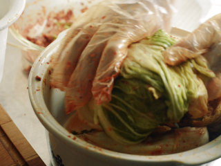 23、制作自家口味的韩式泡菜,将白菜卷起来。这样可以使白菜少出水，味道浓郁。