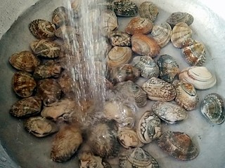 2、酒蒸蛤蜊――快手复刻美味,买回的花蛤用淡盐水浸泡一下,洗净后沥水捞出装在盘中。