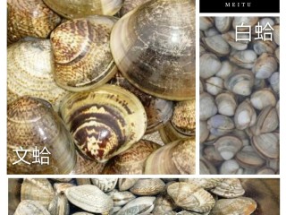 11、酒蒸蛤蜊――快手复刻美味,跟大家分享一下文蛤,白蛤和花蛤的照片,在做不同美食时对食材的选择也是不同的(详见贴士)。