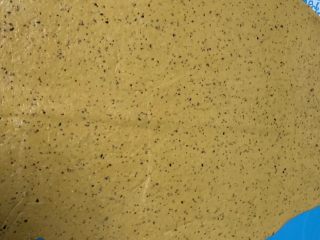 10、红枣红糖馒头,擀平擀的薄一点