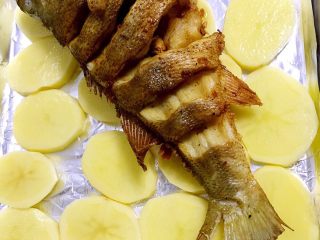 6、烤鲈鱼,炸过的鲈鱼放在烤盘的土豆片上，烤箱200度先预热五分钟