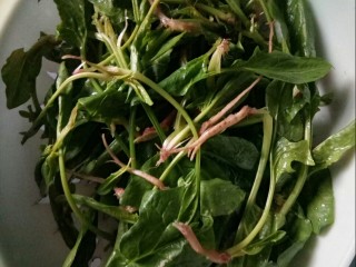 1、#冬日暖心菜#   一碗热汤面,菠菜理好，洗净待用。