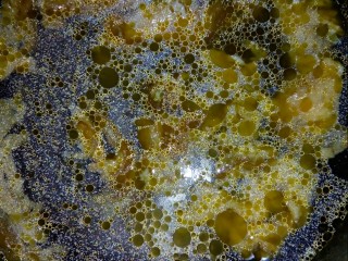 5、#冬日暖心菜#   一碗热汤面,汤锅加水，放入炒好的鸡蛋煮汤。