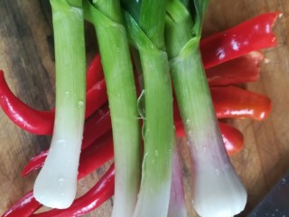 2、人人都爱吃凉拌海蜇皮,蒜白，红辣椒