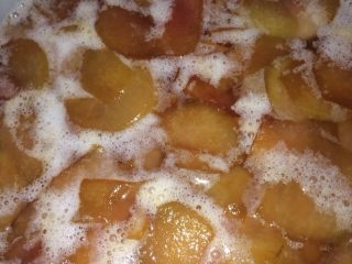 8、李子酵素,发酵86小时，表面看起来泡沫变少，发酵基本完成，闻起来有酒酿的香味，尝起来酸大于甜，可以起桶