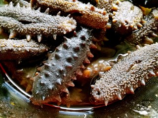 6、海参土鸡汤 大寒补气血,用清水洗净。