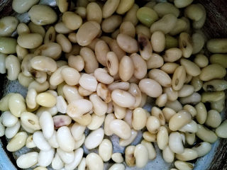 3、红枣枸杞豆浆,将浸泡好的黄豆放入高压锅