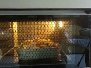 11、鲜虾仁焗饭,放进烤箱上下火190度烘烤20分钟即可。