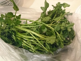 1、西洋菜柚子沙拉,西洋菜！不是水芹哦！