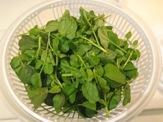 2、西洋菜柚子沙拉,折好嫩葉嫩莖，洗淨瀝乾水，備用。