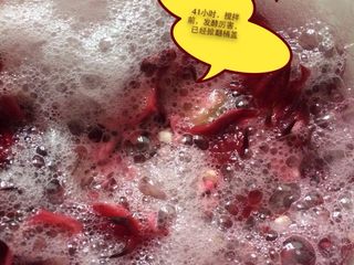 7、洛神花梨子酵素,发酵40小时后，泡多而细腻，搅拌均匀继续发酵