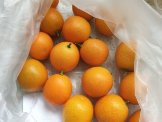 1、金桔银耳羹,挑选新鲜的金桔