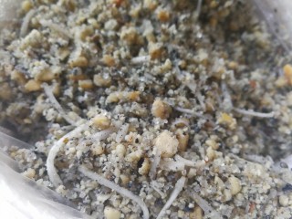 10、药膳美食之一一鸡屎藤糍粑,花生、芝麻分别放烤箱170度烤15分钟左右出炉，没烤箱的可以放到锅里炒香一样的，花生去皮压碎，与芝麻、椰丝、陈皮末、细砂糖一起混合均匀备用，不喜欢花生芝麻馅的可以用其他馅料代替，譬如豆沙或咸的馅料。