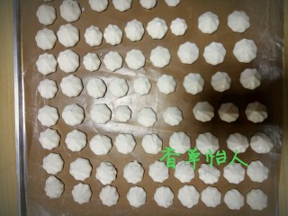 18、完胜旺旺奶豆的酸奶溶豆宝宝新辅食～香草怡人,像这样挤在烤盘上，烤盘上垫层油布，烤箱温度是100度，烤一个小时