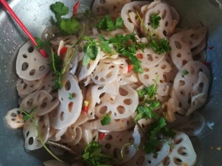 12、请客最hold住场面的凉菜，凉拌莲藕,要上桌时候加入芫荽，搅拌一下。