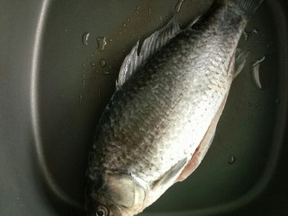 3、鲫鱼萝卜汤,15分钟以后用厨房纸把鲫鱼表面擦干，锅里烧热放油，把鲫鱼放到锅里煎，刚放进去不要动鲫鱼！