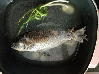 5、鲫鱼萝卜汤,倒入适量清水大火煮20分钟！