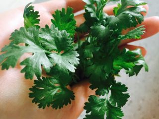 14、番茄牛肉,准备适量香菜洗净