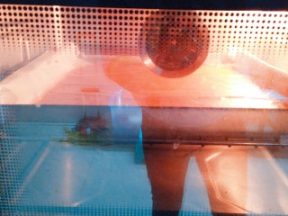 16、百变山楂,放入烤箱用热风烤模式，上下火100度烤一个小时即可