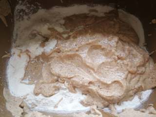 4、核桃枣馒头, 打碎的核桃枣倒入面粉中。