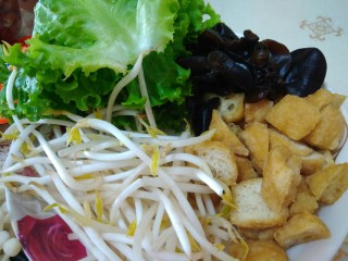 3、东北双人份麻辣拌之酸甜拌,豆芽洗好，豆泡剪成两半，这样能吸入滋味，木耳洗一洗撕一撕，生菜洗一洗撕成一段一段的。