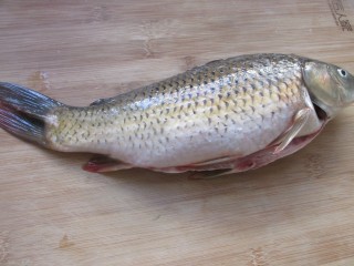 1、糖醋鲤鱼,鲤鱼去鳞去内脏去腮洗净。