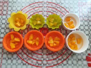 10、水果果冻（白凉粉版）,模具里倒入三分之一的凉粉水，放入适量的果粒