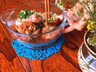 4、扬州灌汤包,瘦肉末、葱姜末、料酒、生抽、蚝油、鸡汁高汤（可免）搅拌均匀