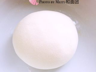 1、蘑菇????饺子#有个故事#,清水里加少许盐和面后、醒发半个小时