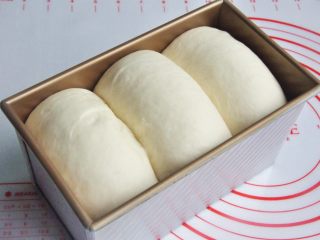 9、玉米沙拉三明治,放入烤箱进行第二次发酵，38度发酵至8-9成模。