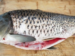 1、家常酸菜鱼,鲫鱼去鱼鳞，肚子切开入出内脏。