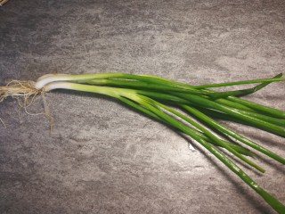 7、秋冬滋补篇:鲍鱼排骨山药汤(含鸡汤粉做法),葱洗净