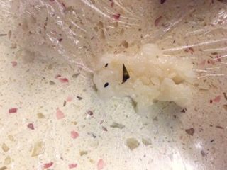 11、足球饭团,也可以做成自己喜欢的动物形状。