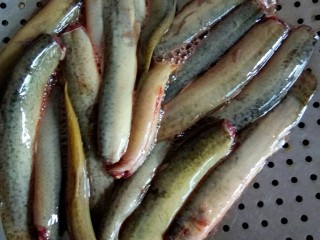 1、#中秋家宴集#    川香砂锅煨泥鳅,鱼鳅用盐码下味。