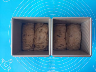 13、黑麦核桃红糖吐司,放入吐司盒里发酵，接头处朝下二发