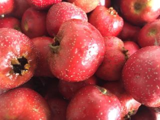 1、山楂酱,山楂洗净沥干水份。