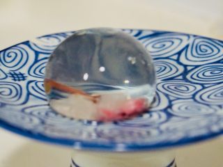 9、日料，改良版樱花水信玄饼,这种是平底的，但是平底的花瓣就会在底下，尽量还是用球体